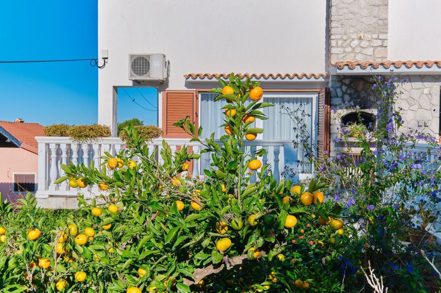 Apartment Luce Mali Lošinj Extérieur photo